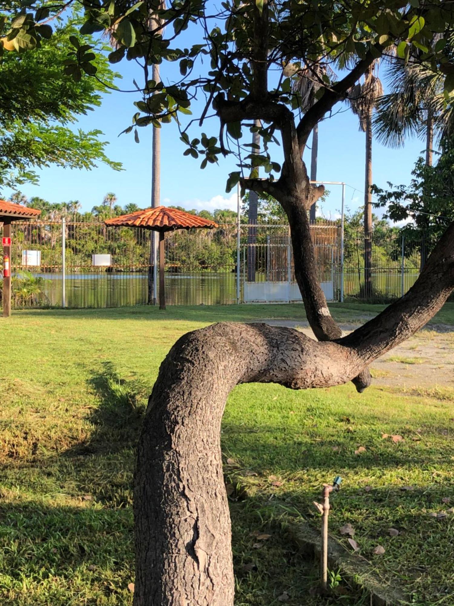 Chale Em Barreirinhas - Porto Dos Lencois Villa Eksteriør bilde